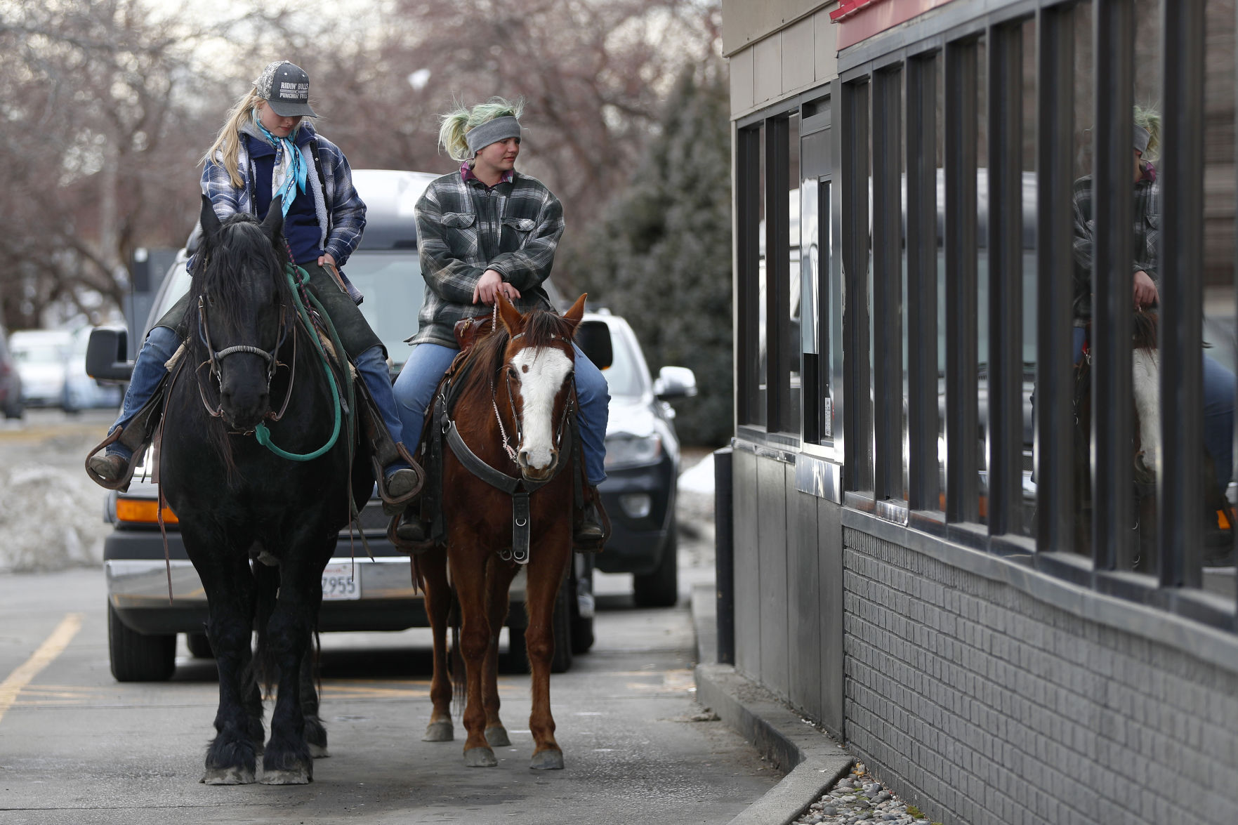 Hardee's horses